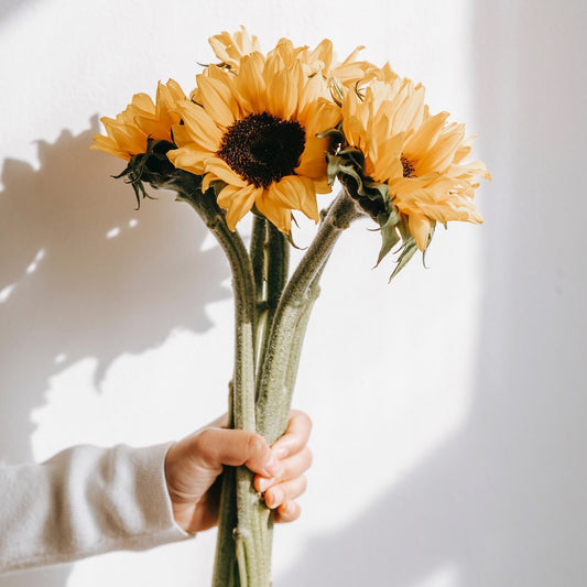 Sunflower Bunch